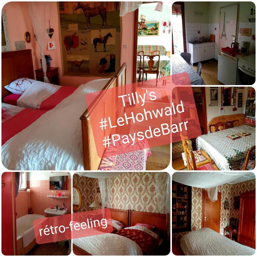 Tilly'S B&B And Apartment House ル・ホーヴァルト エクステリア 写真