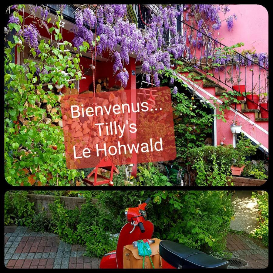 Tilly'S B&B And Apartment House ル・ホーヴァルト エクステリア 写真